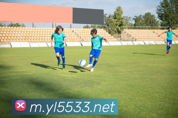 企业概况